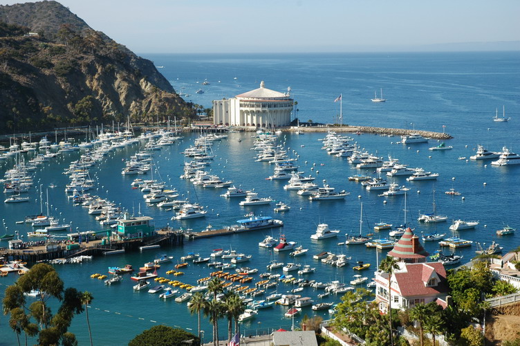 Download this Most The Island Administered Catalina Conservancy picture